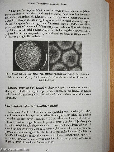 Az élet rendszerelmélete