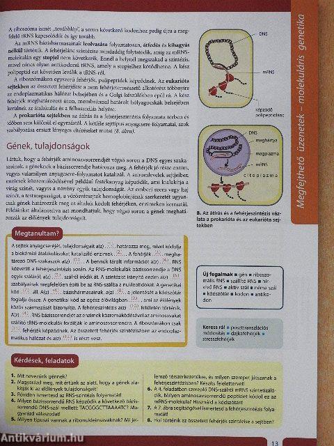 Biológia 12.