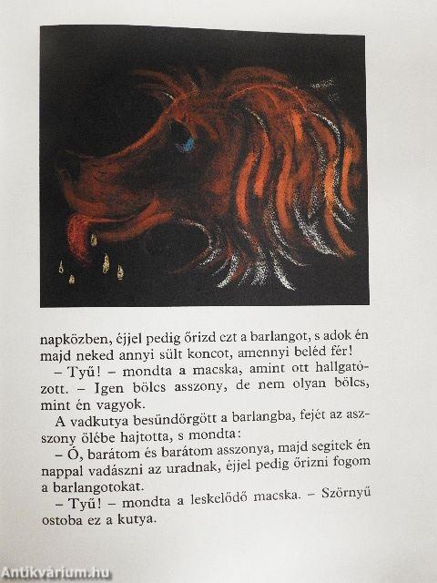 A magányosan sétáló macska