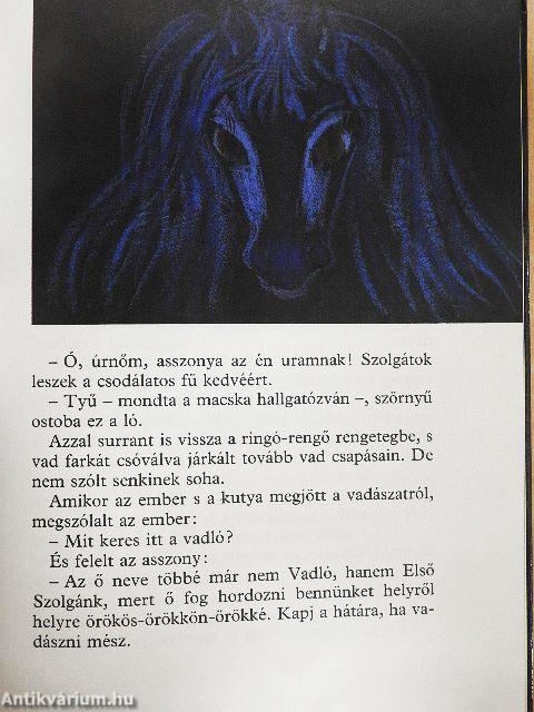 A magányosan sétáló macska