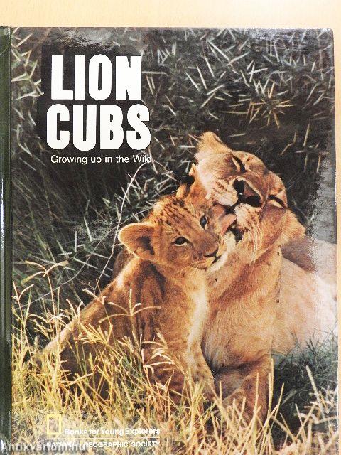 Lion Cubs