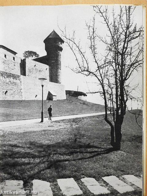 Budavári kertek