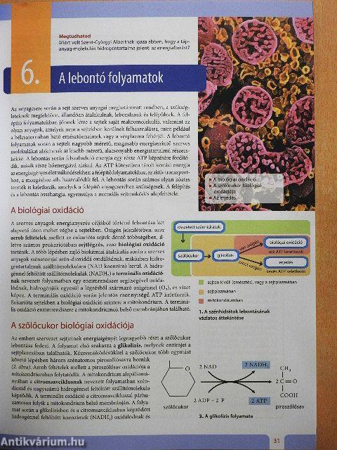 Biológia 11.