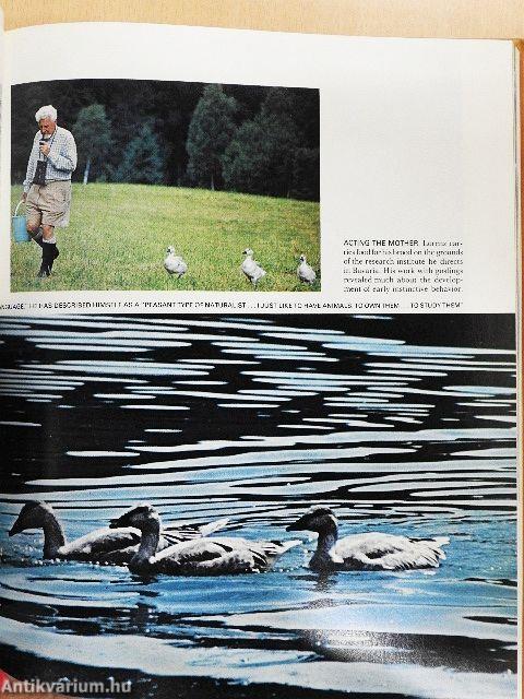 Animal Behavior