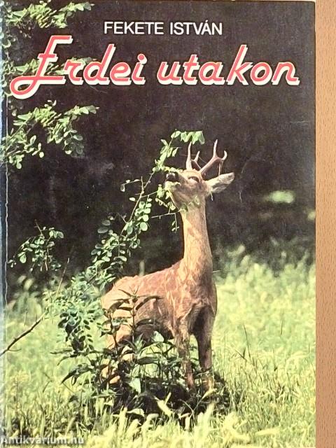 Erdei utakon
