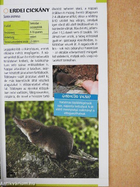 Emlősök