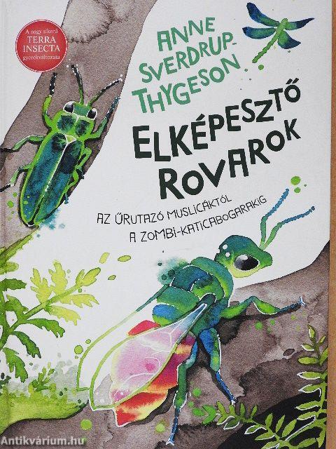 Elképesztő rovarok