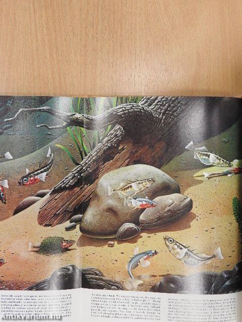 Animal Behavior