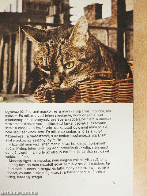 Doromboló