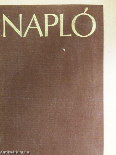 Napló