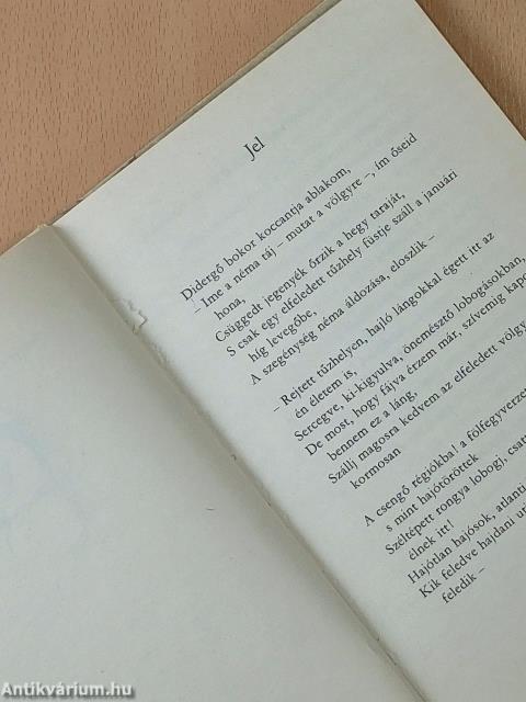 Amikor az óceán partjára jutottam