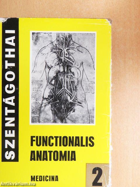 Functionalis anatomia 2.