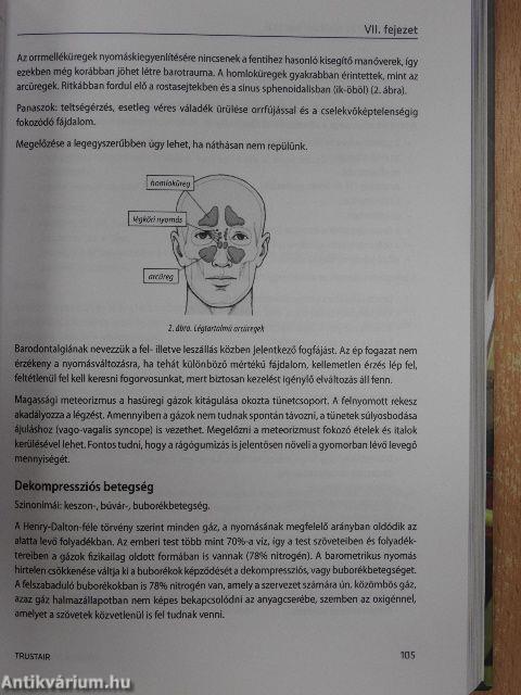 Intenzív transzport