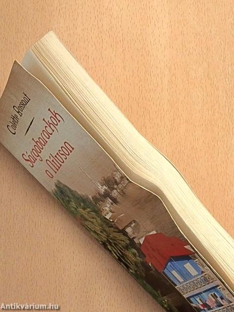 Sárgabarackok a Níluson