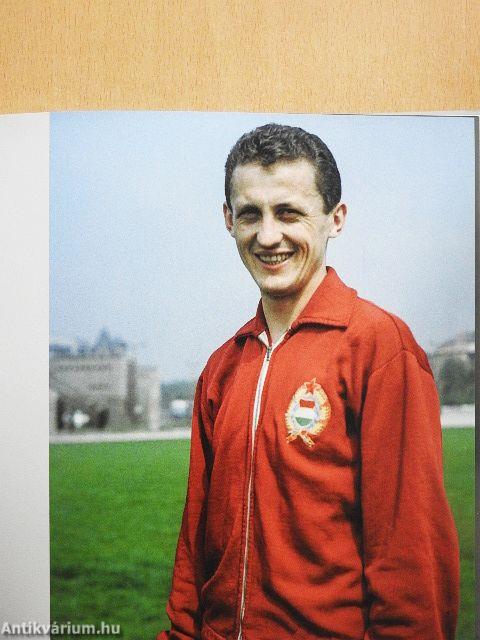 Albert 80
