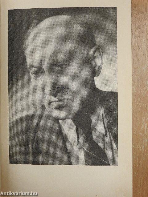 A menekülő ember