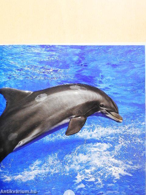 Delfinek