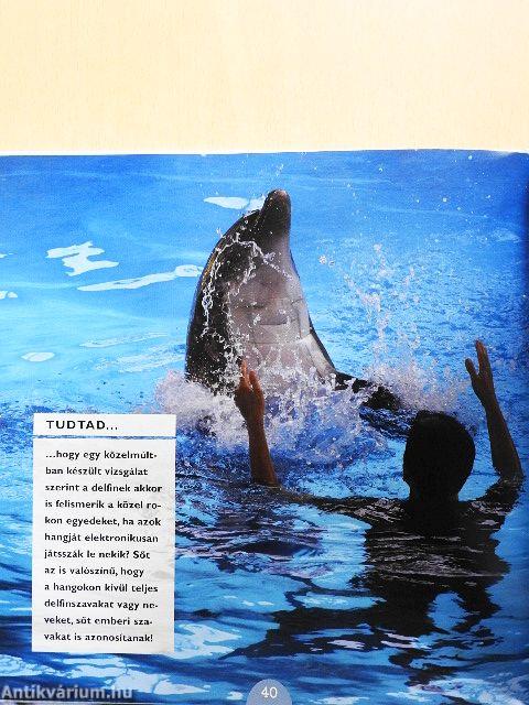 Delfinek