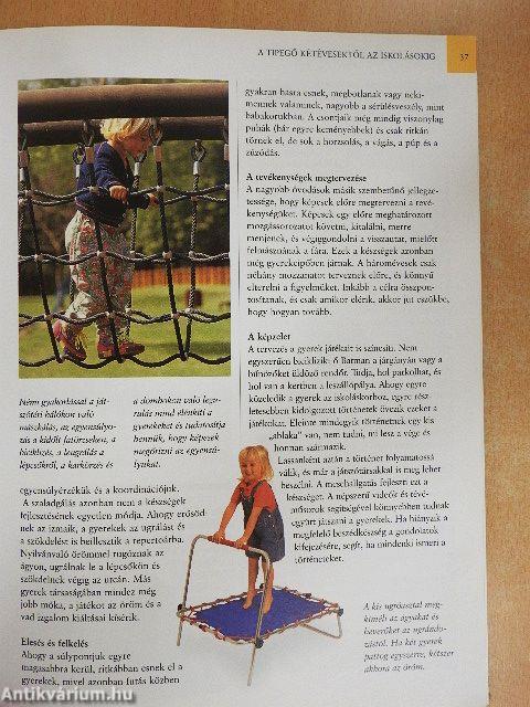 A tanulás kezdetei
