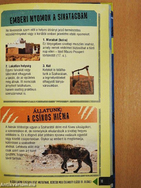 Túlélők könyve