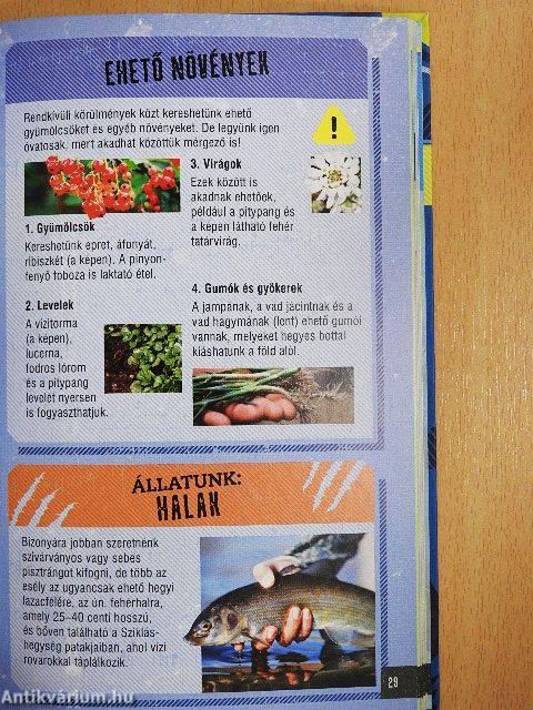 Túlélők könyve