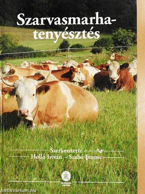 Szarvasmarha-tenyésztés
