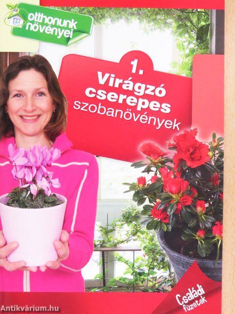 Virágzó cserepes szobanövények