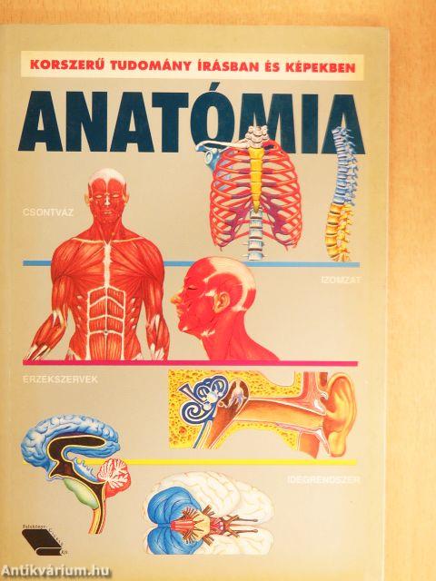 Anatómia