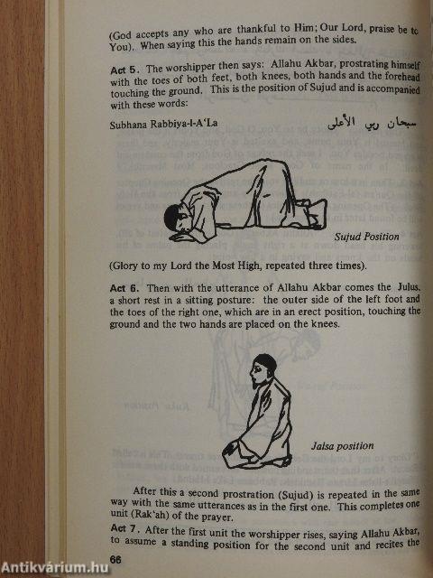 Islam in focus