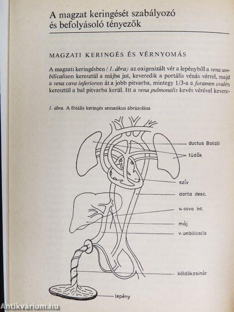Kardiotokográfia