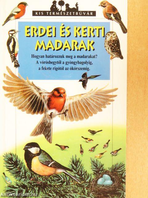 Erdei és kerti madarak