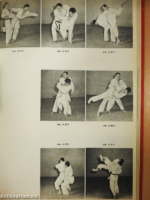 Cselgáncs (judo) és önvédelem (aikido)