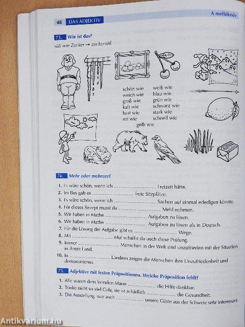 Stufengrammatik Plus