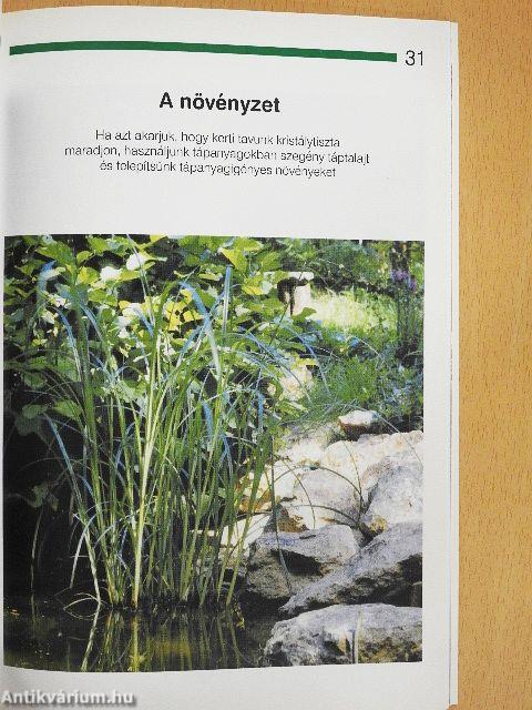 A kerti tó