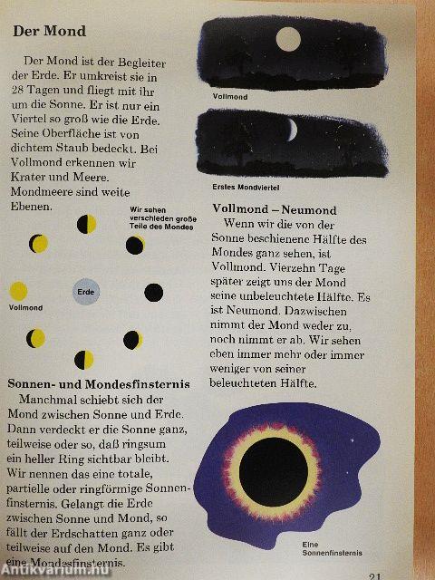 Entdecke die Welt