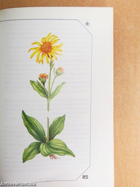 Allergia