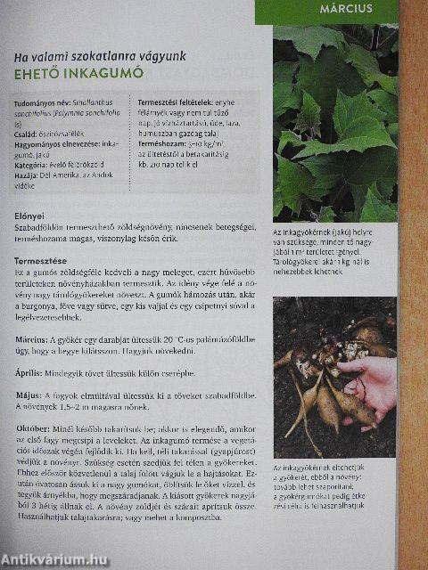 Permakultúra