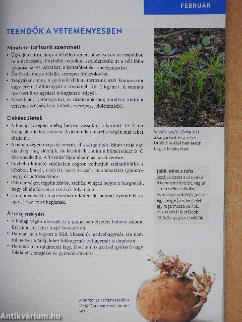 Permakultúra