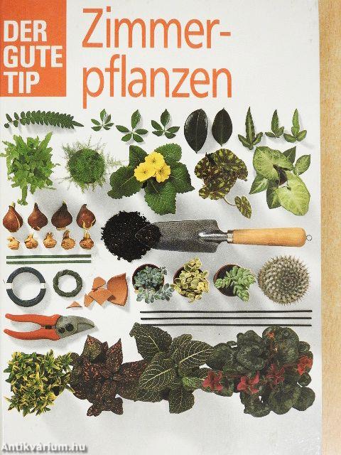 Zimmerpflanzen