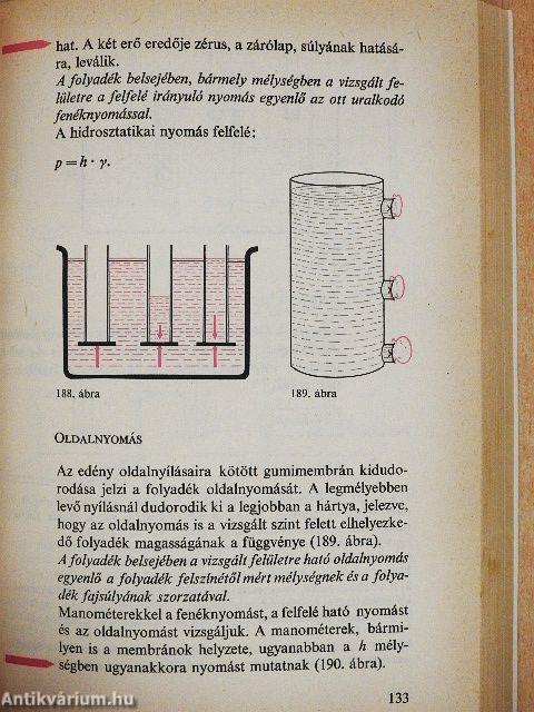 Fizika I.