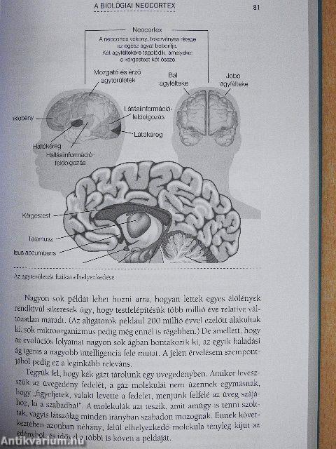 Hogyan alkossunk elmét?