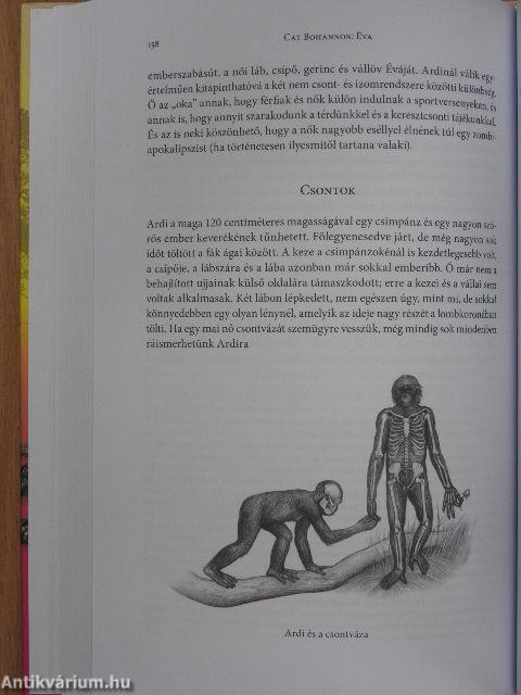 Éva