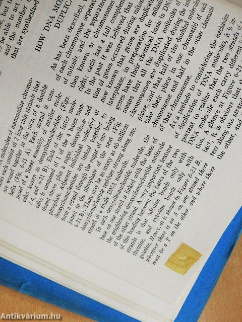 Histology