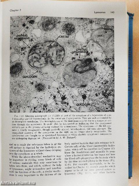 Histology