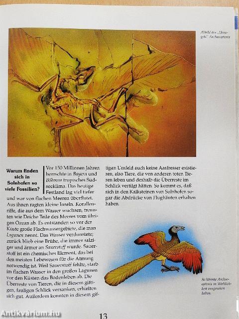 Flugsaurier