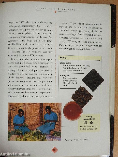 The Tea Companion