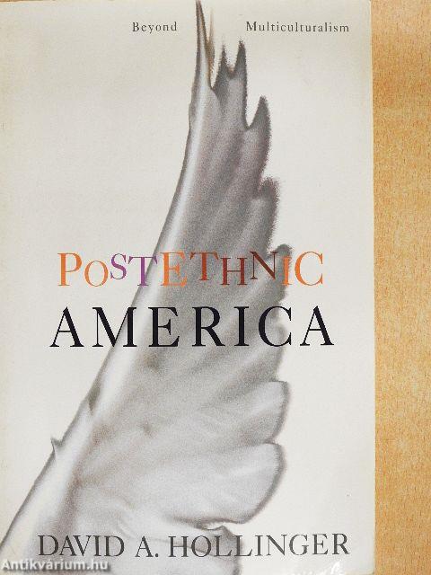 Postethnic America