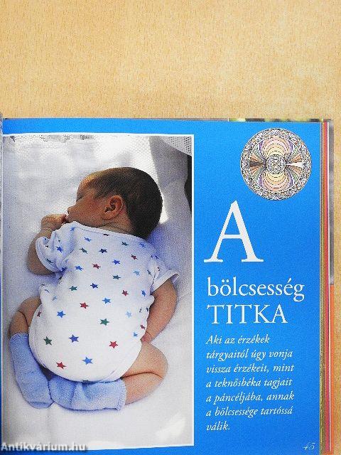 Életöröm