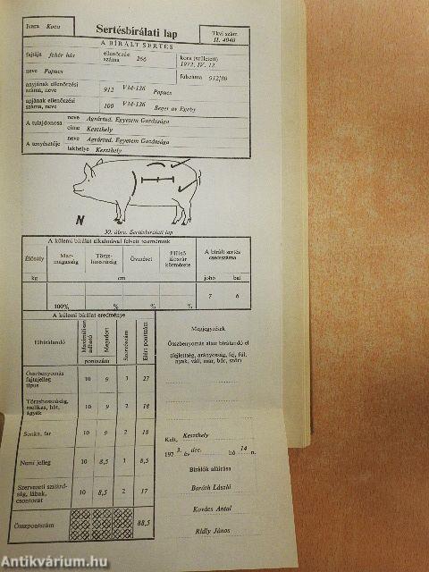 Állattenyésztés 3.