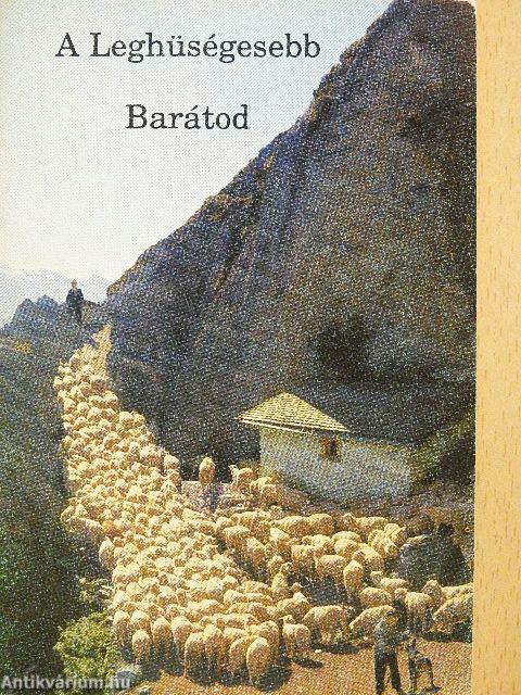 A Leghüségesebb Barátod